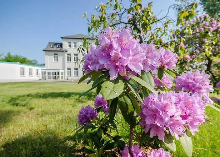 Hotel Siegmar Im Geschaeftshaus